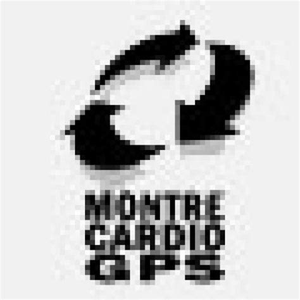 Montre-cardio-gps.fr